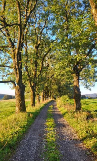 Rennsteighotel Gruener Baum Schmiedefeld am Rennsteig Luaran gambar