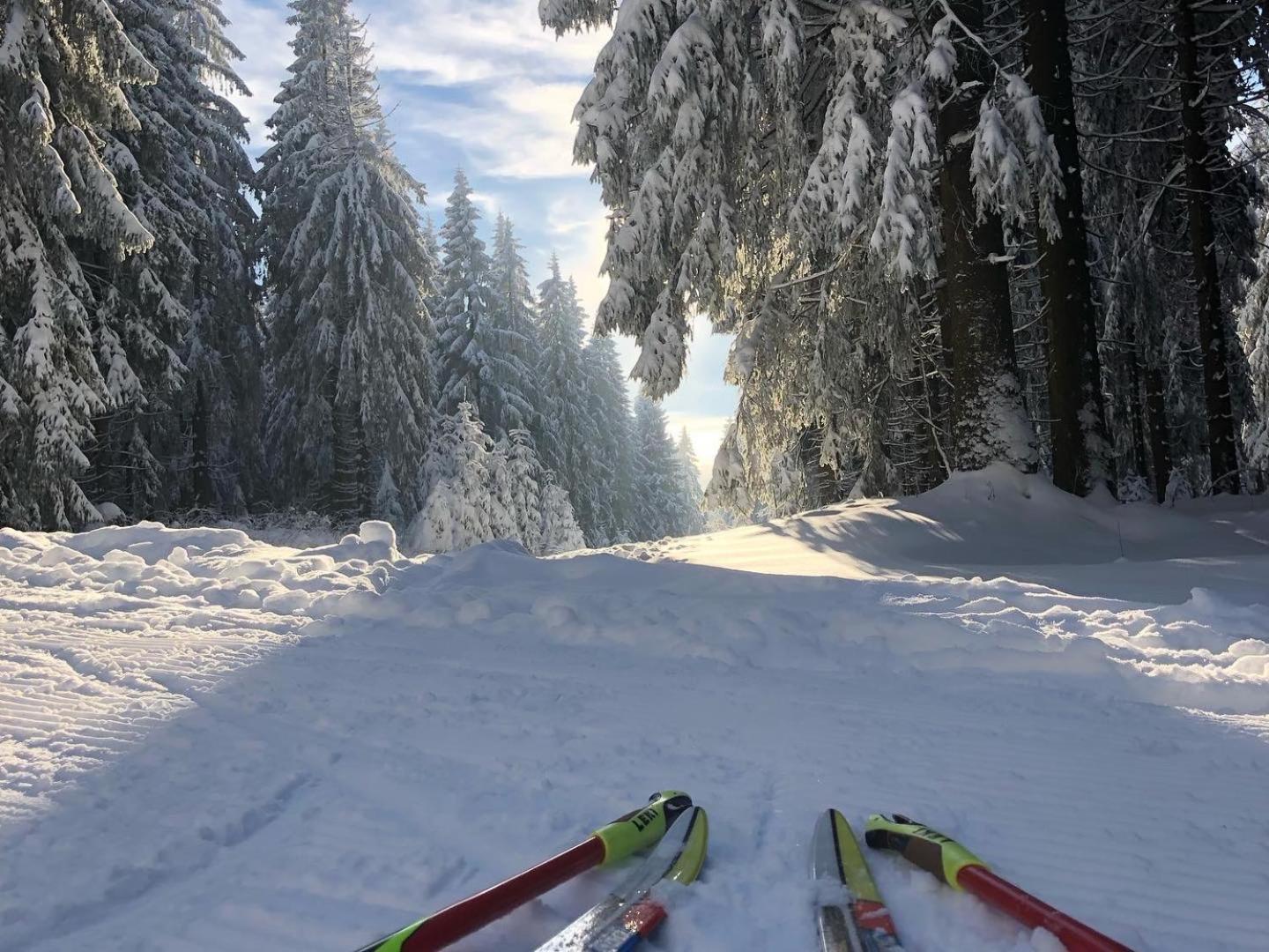 Rennsteighotel Gruener Baum Schmiedefeld am Rennsteig Luaran gambar